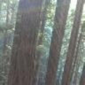 Meet your Posher, Yas